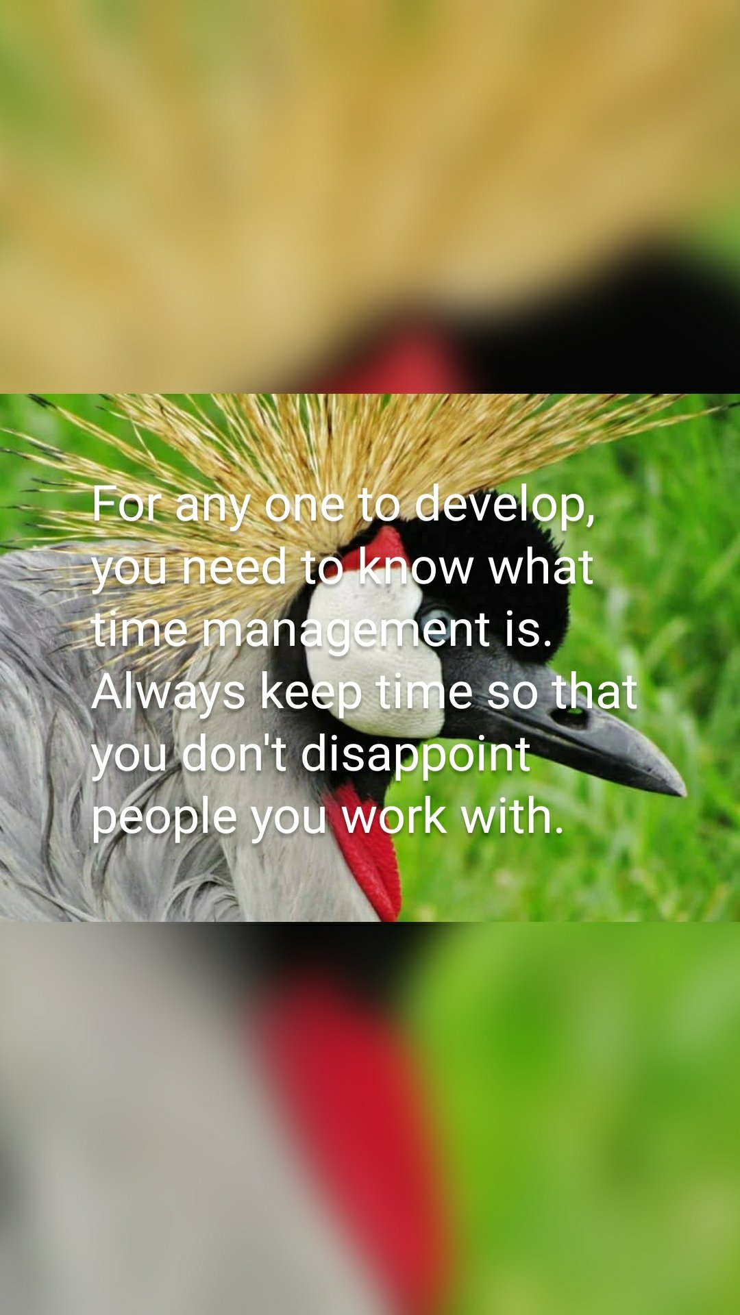 For any one to develop, you need to know what time management is.
Always keep time so that you don't disappoint people you work with.